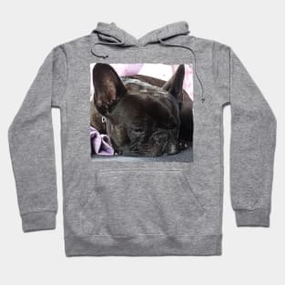 French Bully Hoodie